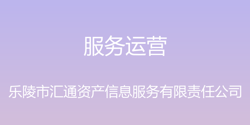 服务运营 - 乐陵市汇通资产信息服务有限责任公司